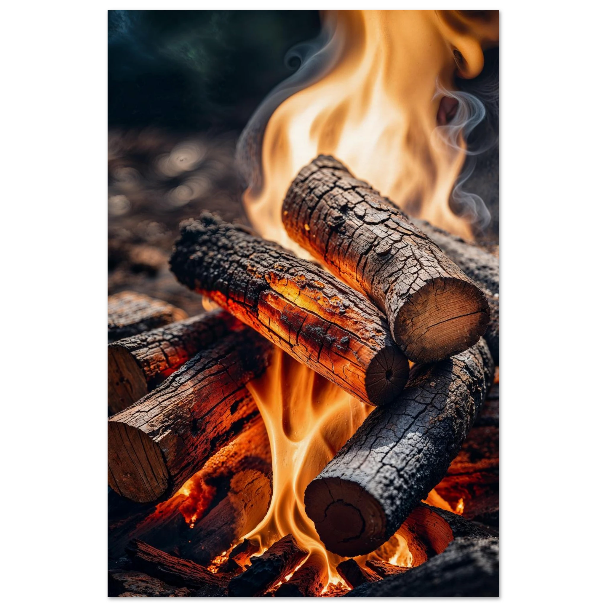 0d7e3817-0401-43cf-9d46-a454a3665363