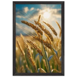 16f34d00-3251-47d6-b5e2-434d219b4cff