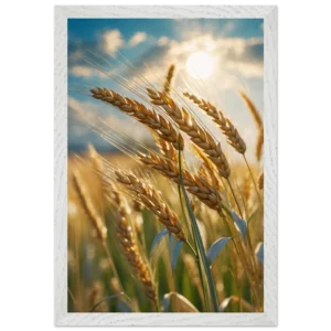 1d81edd1-ee0a-470f-b555-0d2c63b06f96