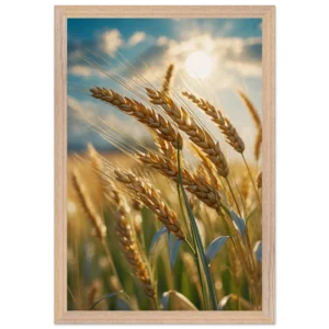 2256e32b-a7fe-4fb3-b479-f79e7fba0b07