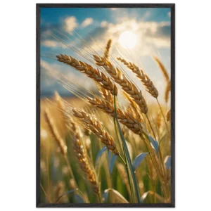 b1eebd70-a343-451a-b716-8073426c3ae4