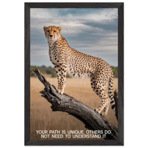 b4e77497-7593-4559-af82-b341c003e22b