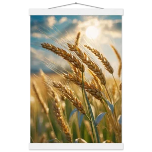 ccc7975e-3bb5-4550-a233-e8f3d94e60fb