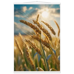 ce7e7d05-1b63-4bc8-bfd1-99d0d1075c81