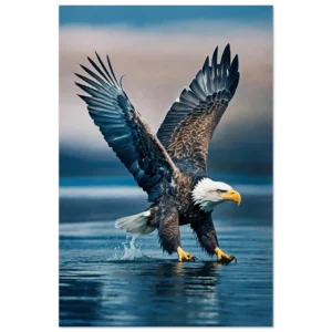 156e0284-bcf4-41b8-8a1b-7b686fa87c5f